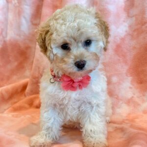 Millie