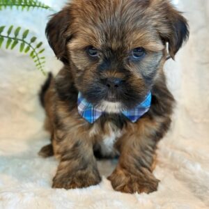Oakley